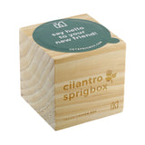 Sprigbox Cilantro Grow Kit (Q819211)