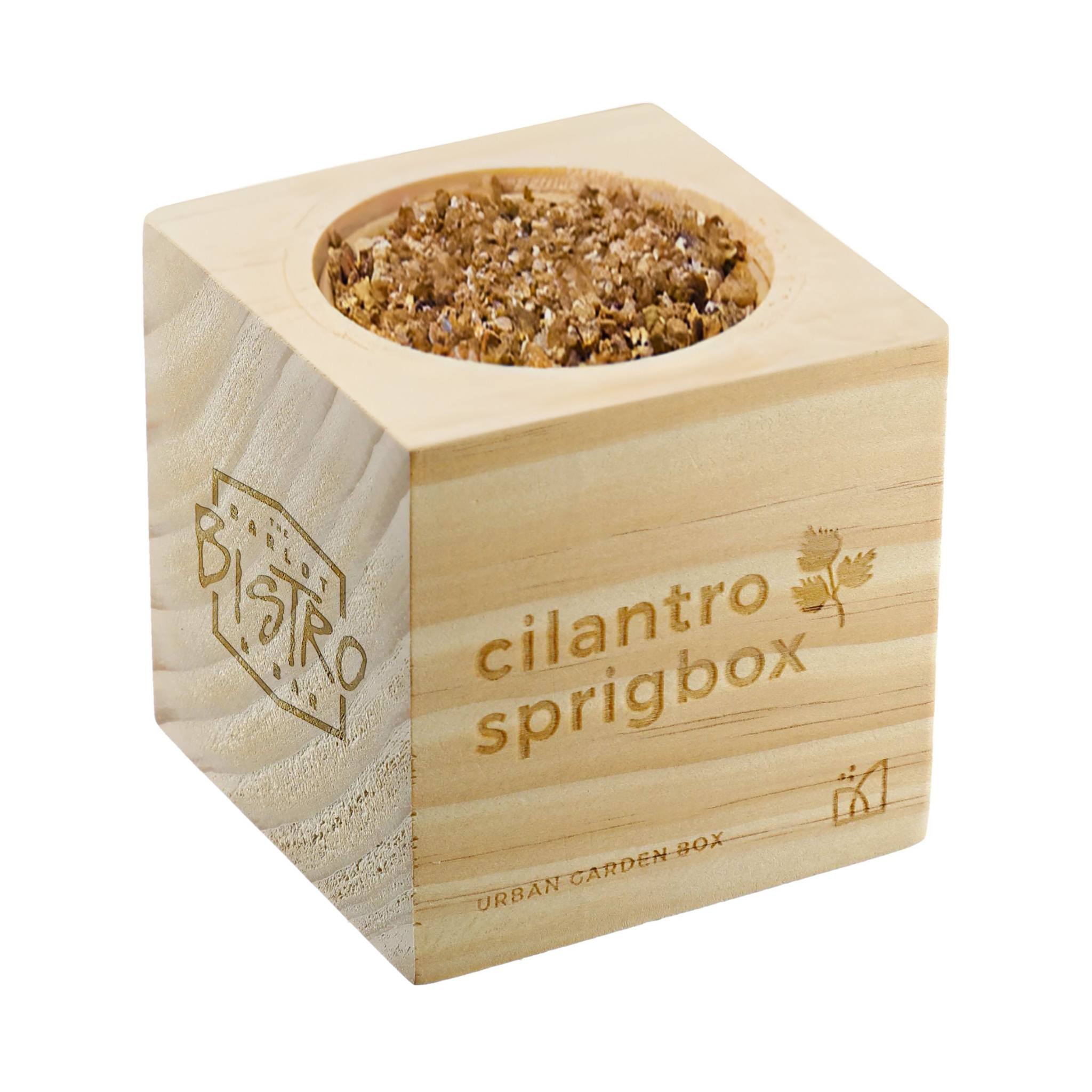 Sprigbox Cilantro Grow Kit (Q819211)
