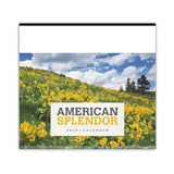 American Splendor Calendar (Q825722)