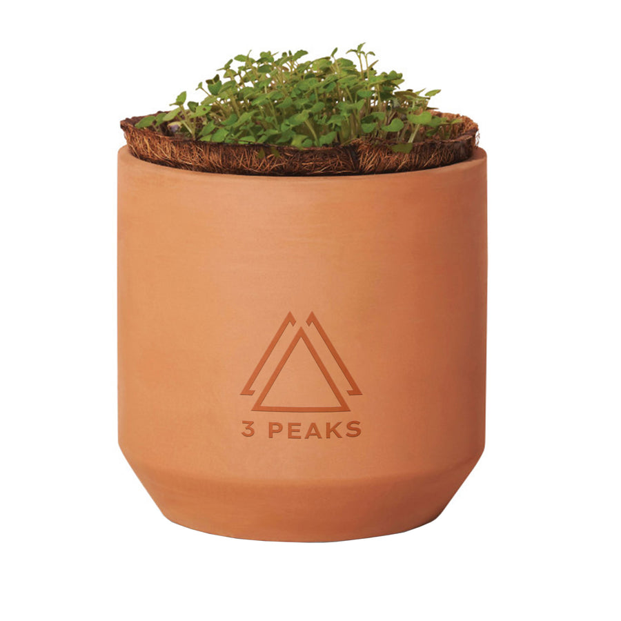 Modern Sprout® Tiny Terracotta Grow Kit Thank You Daisies (Q826332)