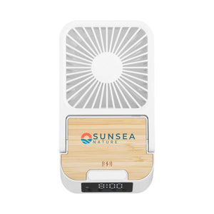 Cool & Connect 4-In-1 Desk Fan (Q872632)