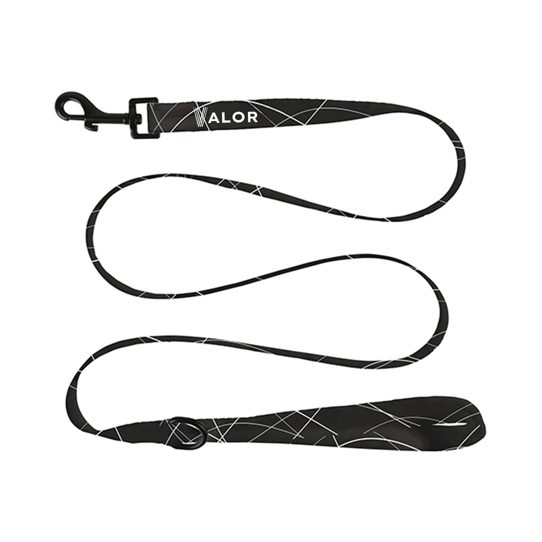 Dog Leash - Regular (Q878822)