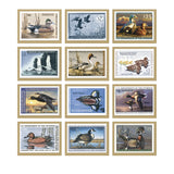 Duck Stamps Calendar (Q884722)
