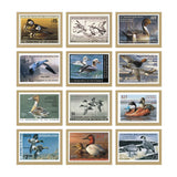 Duck Stamps Calendar (Q884722)