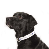 1" Full Color Wide Adjustable Pet Collars (Q886711)