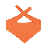 6 Inch Allie Gator - Bandana (Q901922)