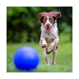 3 Inch Squeaky Dog Toy Ball (Q918822)