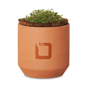 Modern Sprout® Tiny Terracotta Grow Kit Champagne Poppies (Q926332)