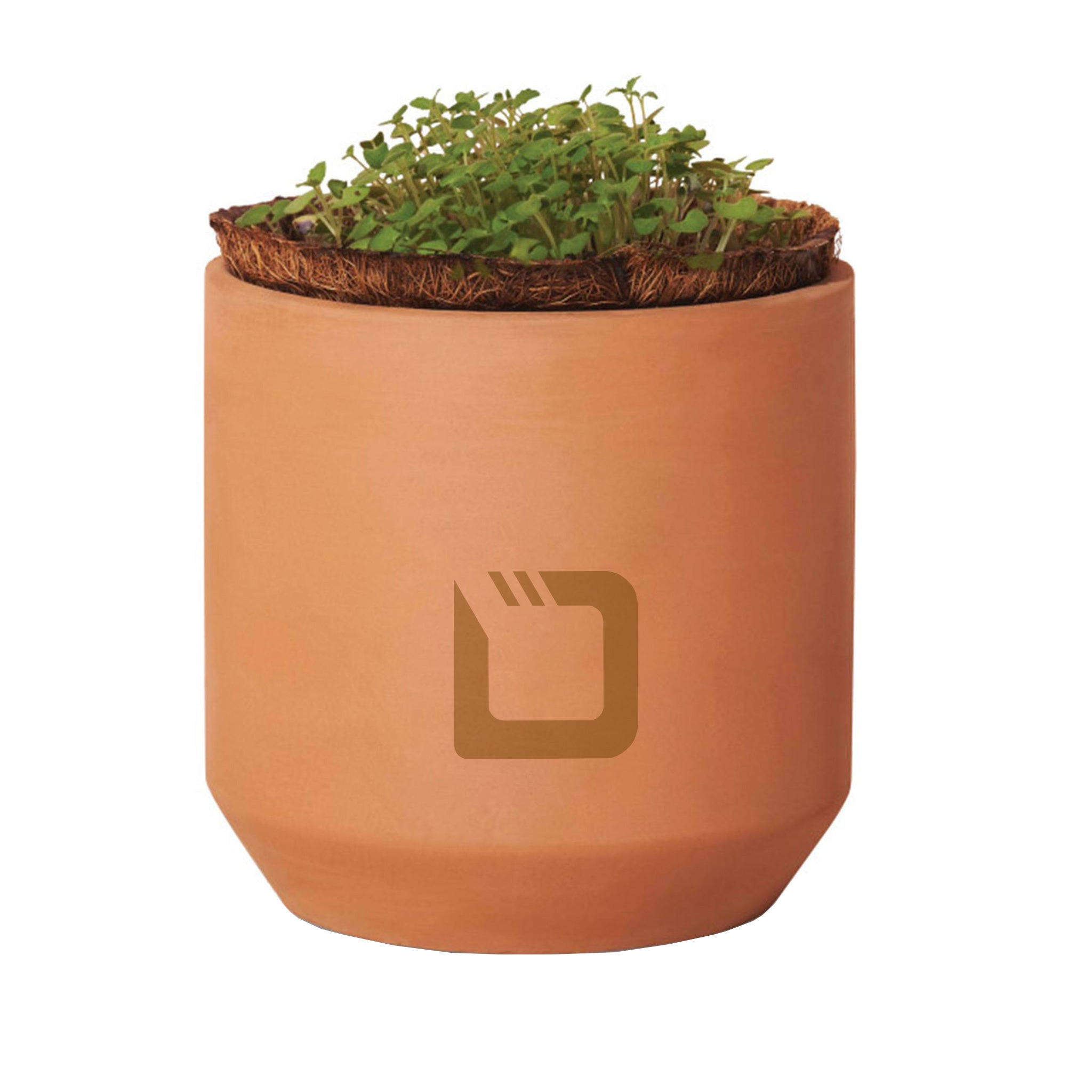 Modern Sprout® Tiny Terracotta Grow Kit Champagne Poppies  Imprinted with Logo (Q926332)