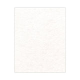 Pet Shammy Towel (Q933432)