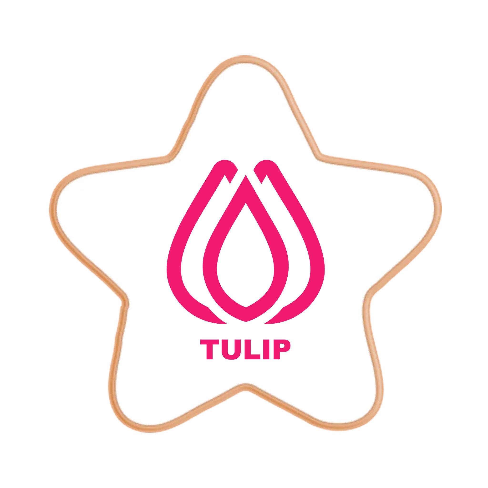 3 Inch Star Logo Sugar Cookie (Q944532)