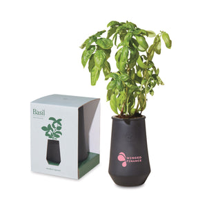 Modern Sprout Tapered Tumbler Grow Kit - Black/Basil (Q976332)
