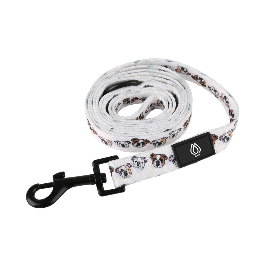 Dog Leash - Wide (Q978822)