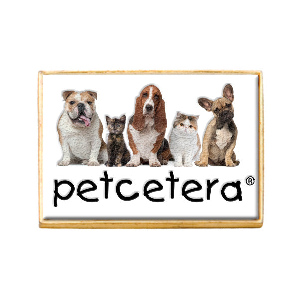 Rectangle Domed Lapel Pins  Imprinted with Logo (Q139611)