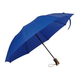 The Auto Open Folding Umbrella (Q146422)