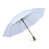 The Auto Open Folding Umbrella (Q146422)