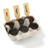 Grow Your Own: Cocktail Herb Garden (Q150422)