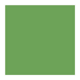 4800 Series Solid Color Bandanas - Kelly Green (Q166522)
