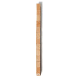 Wooden Snake Puzzle (Q170211)