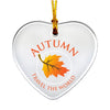 Acrylic Ornaments - Sun Catchers - Star (Q225711)