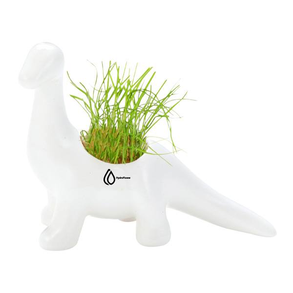 Dinosaur Planter  Imprinted with Logo (Q240422)