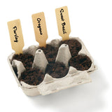 Grow Your Own: Italian Herb Garden (Q250422)