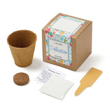 Wildflowers Growables Planter In Kraft Gift Box (Q290422)