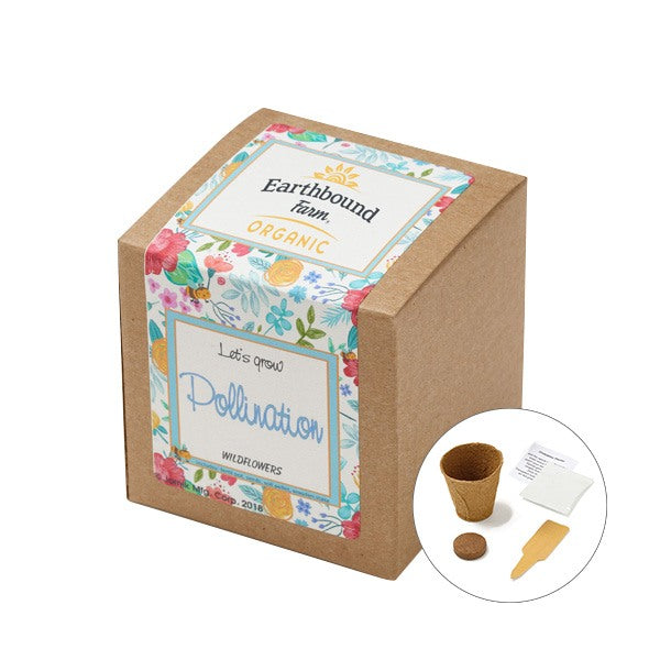 Wildflowers Growables Planter In Kraft Gift Box (Q290422)