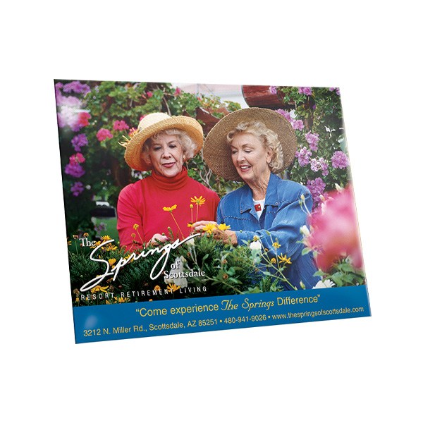 Brandelope - 12.5" x 10" (Q359111)