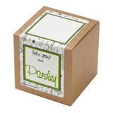 Parsley Growables Planter In Kraft Gift Box (Q360422)