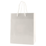 Color Gloss Laminated Tote (Q36340)