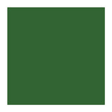 4800 Series Solid Color Bandanas - Forest Green (Q366522)