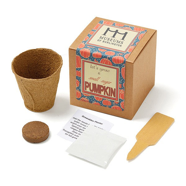Small Sugar Pumpkin Growables Planter In Kraft Gift Box (Q380422)