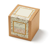 Small Sugar Pumpkin Growables Planter In Kraft Gift Box (Q380422)