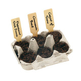 Winter Wonderland Grow Your Own Kit (Q390422)