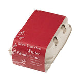 Winter Wonderland Grow Your Own Kit (Q390422)