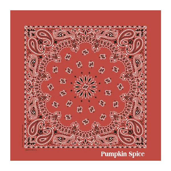 22 In Traditional USA Paisleys Bandana - Terracotta  Imprinted with Logo (Q416522)