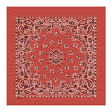 22 In Traditional USA Paisleys Bandana - Terracotta (Q416522)