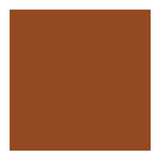 4800 Series Solid Color Bandanas - Burnt Orange (Q456522)