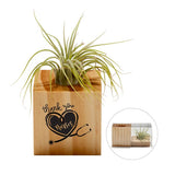 Air Plant  Imprinted with Logo (Q520422)