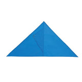 Triangle Shaped Solid Kites (Q535611)