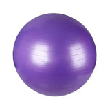 25.50 Inch PVC Yoga Ball (Q549011)
