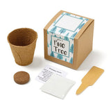 Pine Tree Growables Planter In Kraft Gift Box (Q560422)