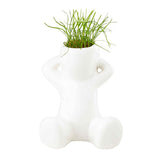 Seed Sensations Grow Guy (Q570422)