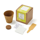 Sunflowers Growables Planter In Kraft Gift Box (Q580422)