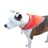 Reflective Triangle Pet Bandanas (Q596711)