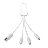 Leyden 15.5cm Length 4 In1 Charging Cables 4CP (Q597422)