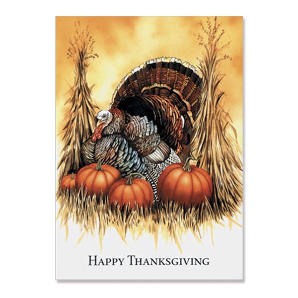 5" x 7" Turkey & Pumpkins Classic Cards (Q602711)