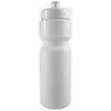 The Journey Bike Bottle (28 oz) (Q619376)