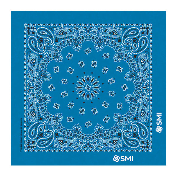 22 In Traditional USA Paisleys Bandana - Mirage Blue (Q636522)